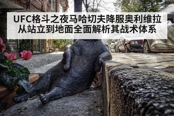 UFC格斗之夜马哈切夫降服奥利维拉 从站立到地面全面解析其战术体系