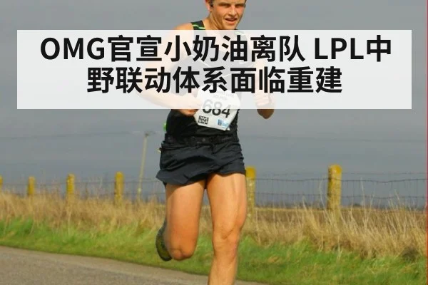 OMG官宣小奶油离队 LPL中野联动体系面临重建